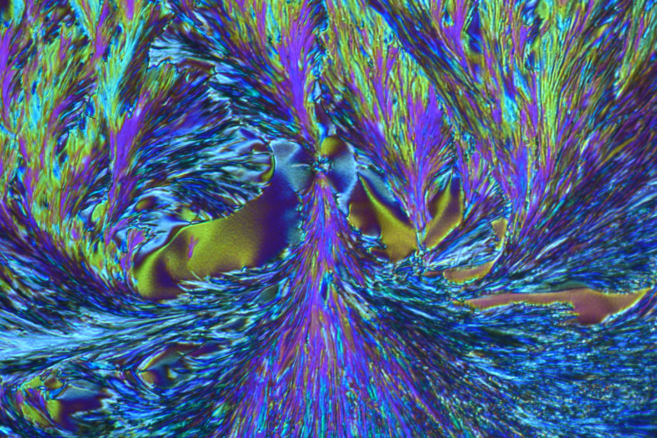 Ascorbic Acid crystals in crossed polarizers with Diaphot TMD and DIC condenser.